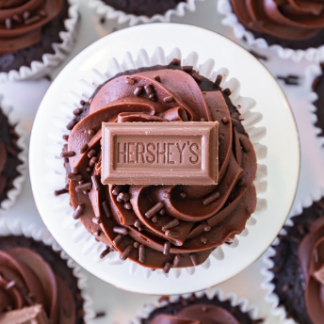 chocolate extreme cupcakes