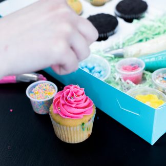 cupcake decorating kit