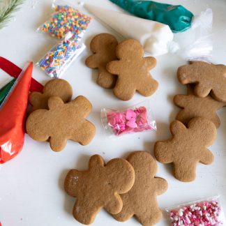 Gingerbread Decorating Kit