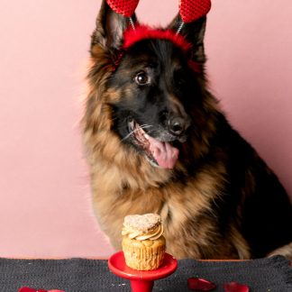Pupcakes!